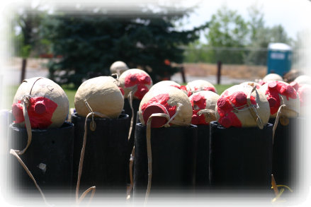 Aerial Shells, fireworks display